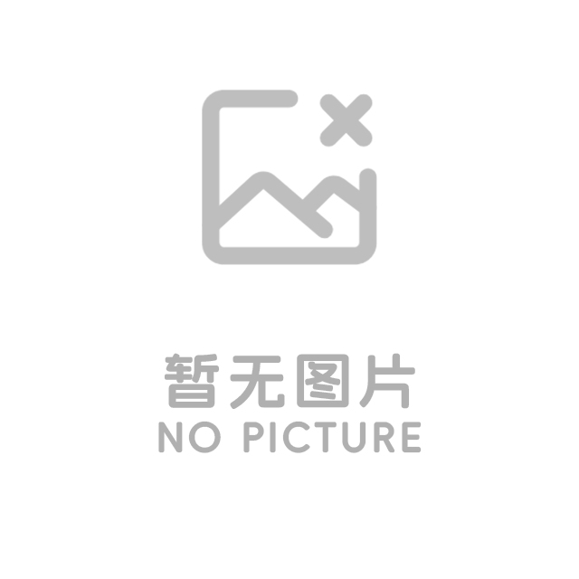 公司簡介
